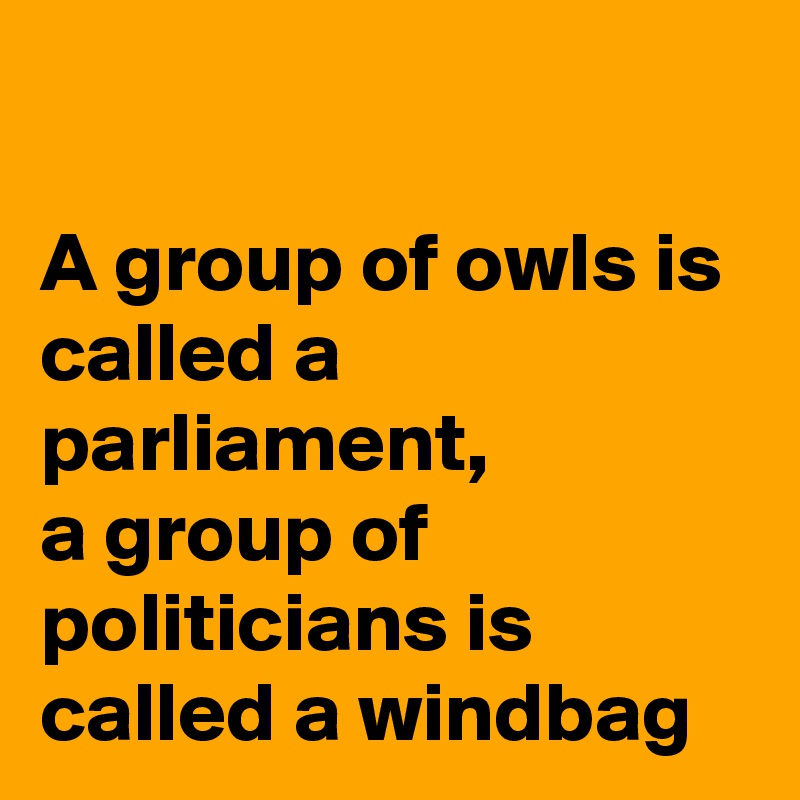 A Group Of Owls Is Called A 8
